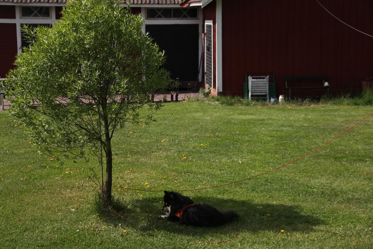 Mora Vandrarhem Och Gaesthem Vinäs Esterno foto