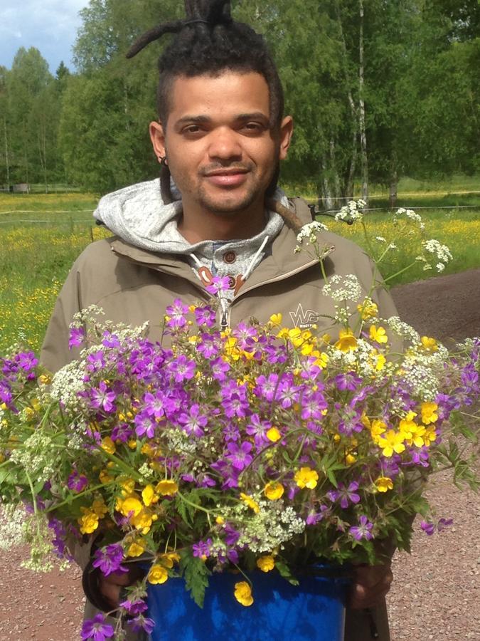 Mora Vandrarhem Och Gaesthem Vinäs Esterno foto