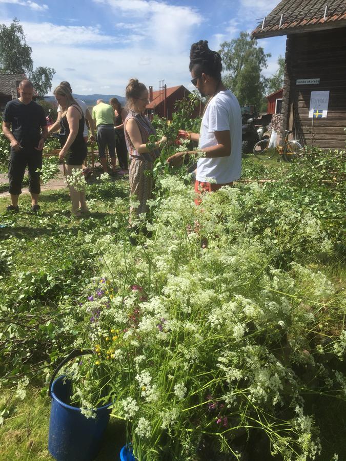 Mora Vandrarhem Och Gaesthem Vinäs Esterno foto