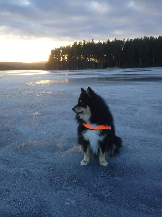 Mora Vandrarhem Och Gaesthem Vinäs Esterno foto